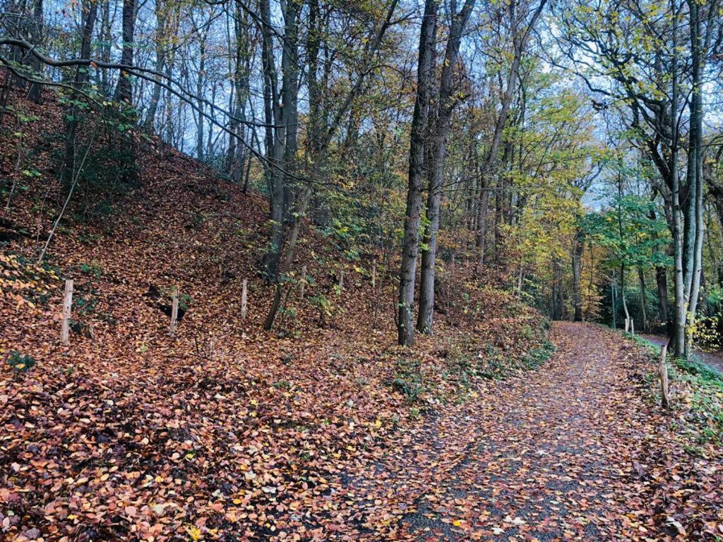 Schoorlse Suites Kültér fotó